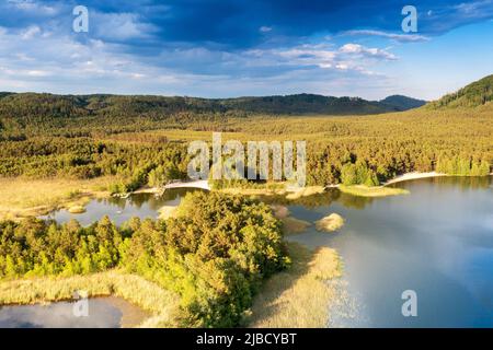 Národní přírodní památka Sumpf, Machovo jezero, Máchův kraj, Ceska republika / Naturschutzgebiet Sumpf, Macha See, Tschechische republik Stockfoto