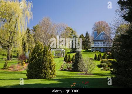 Getrimmt immergrüne Bäume und Grenzen mit Sträuchern plus weiße Pergola in schrägen Garten hinter blauem Haus im Frühjahr. Stockfoto