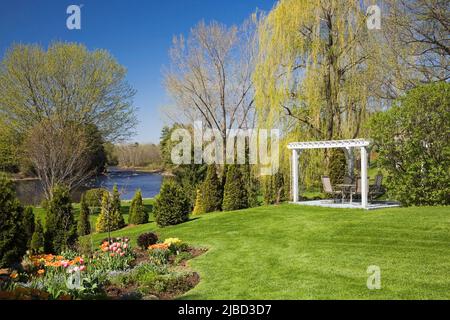 Getrimmte immergrüne Bäume und Bordüren mit orangen und roten Tulipa - Tulpen plus weiße Pergola in schrägen Garten im Garten im Frühling. Stockfoto