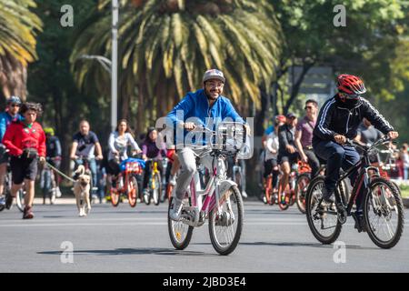 Mexiko-Stadt, 20. 2019. Januar: Die wöchentliche Fahrradtour am Sonntag auf dem Paseo de la Reforma in Mexiko-Stadt, wo sich eine der Hauptverkehrsstraßen der Stadt in der Nähe befindet Stockfoto