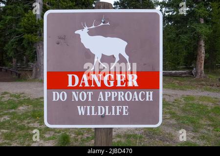 Detailaufnahme der Gefahr nähern Sie sich nicht dem Tierschild im Yellowstone National Park, Wyoming, USA. Sicherheit in freier Wildbahn. Hüten Sie sich vor wilden Tieren Stockfoto