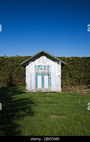 Kleines Grau mit türkisfarbenem Holzbrett Lagerschuppen im Garten im Frühling. Stockfoto