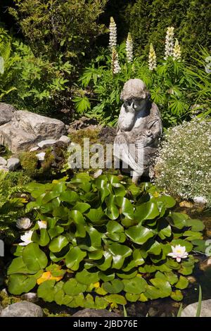 Kleine Statue am Rand des Teiches mit weißen Nymphaea - Wasserliliy Blumen im Garten im Garten im Frühling. Stockfoto