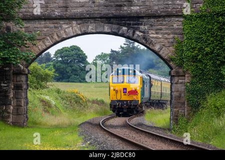 BR-Klasse 50 50035 Ark Royal Diesel. Motor auf der Severn Valley Railway in Shropshire im Vereinigten Königreich Stockfoto