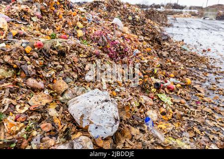 Plastiktüte zwischen organischem Abfallhaufen an der Kompostsortier- und Recyclingstation. Getrennte Sammlung und Kompost von organischen Abfällen Stockfoto