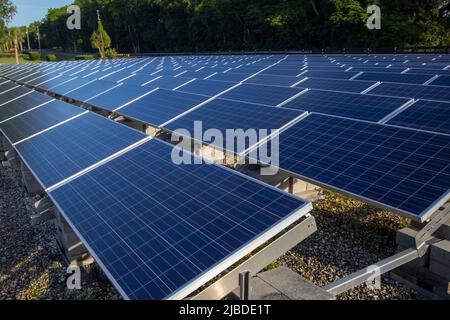 Solar-panels Stockfoto