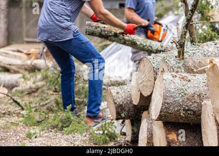 Eine selektive Fokusansicht auf die zerkleinerten Enden eines Holzstapels, verschwommene Baumpfer werden bei der Arbeit gesehen, die Bäume im Hintergrund hacken, wobei der Kopierraum nach links zeigt. Stockfoto