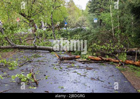 Eine Weitwinkelaufnahme, die Baumstämme, Äste und Trümmer zeigt, die den Zugang zu einer Hauptstraße nach einem starken Sturm und Tornado-Kraftwind behindern. Stockfoto