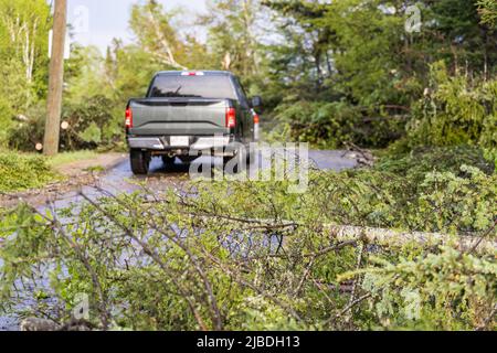 Nahaufnahme eines Baumstamms und Ästen, die entwurzelt und eine Dorfstraße versperren. Nach dem stürmischen Wetter. Verschwommener LKW im Hintergrund. Stockfoto