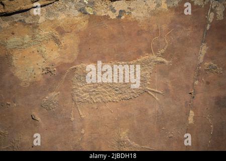 Gezeichnete Figuren auf der Steinmauer. Felsmalerei in Berg der Republik Altai, Russland Stockfoto