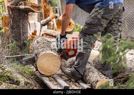 Seitenansicht auf der unteren Hälfte eines Baumchirurgen bei der Arbeit mit einer leistungsstarken Kettensäge, um den Stamm einer reifen Kiefer zu schneiden. Mit Kopierbereich. Stockfoto