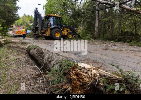 Kreative, selektive Fokusaufnahme mit niedriger Sicht auf den umgestürzten Baumstamm am Straßenrand nach starken Winden, verschwommene Auftragnehmer werden bei der Arbeit im Hintergrund gesehen. Stockfoto