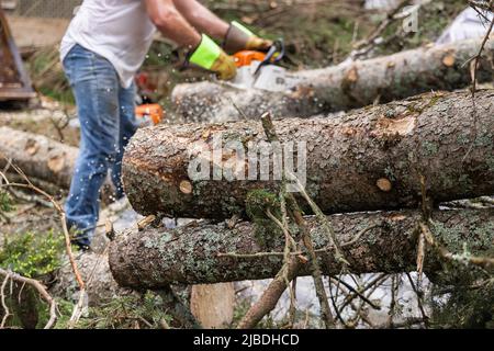 Kreativer, selektiver Fokus auf die Rinde eines umgestürzten Baumstamms gedreht, sieht man einen verschwommenen Auftragnehmer bei der Arbeit im Hintergrund, der Holz mit Kopierfläche sägt. Stockfoto