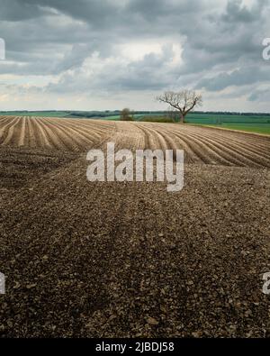 Gepflügte Feld und Blick über die Wolken mit Baum am Horizont und grünen Feldern und bewölkten Himmel an einem Sommertag. Yorkshire, Großbritannien. Stockfoto