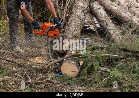 Ein tiefer Schuss auf die Beine und Arme eines Baumchirurgen, der nach starken Winden entwurzelte Stämme mit einer Kettensäge hackt, mit Kopierraum im Vordergrund. Stockfoto