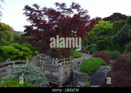 Freiburg, Deutschland - April 2022: Japanischer Garten im öffentlichen Park „Seepark“ Stockfoto