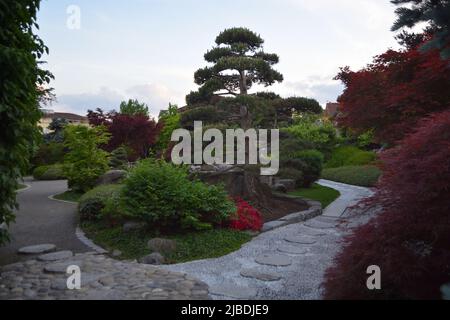 Freiburg, Deutschland - April 2022: Japanischer Garten im öffentlichen Park „Seepark“ Stockfoto