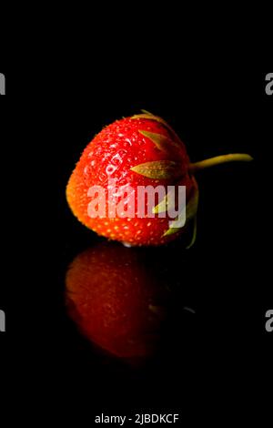 Rote Erdbeere isoliert auf schwarz. Stockfoto