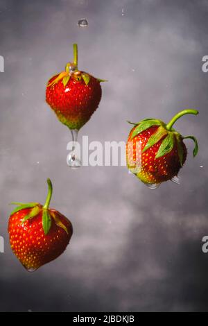 Erdbeeren mit Wassertropfen und verschwommenem Hintergrund. Stockfoto