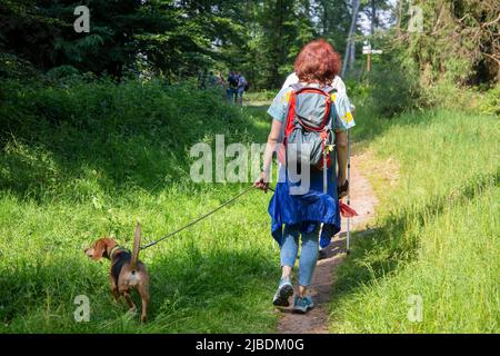 Frau mit Hund in einer Gruppe von Wanderern im Wald Stockfoto