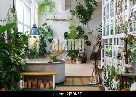 Hausgarten im Boho-Stil. Skandinavische Innenarchitektur des Winterinnengartens mit Zimmerpflanzen Stockfoto