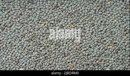 Grüne Linsen. Hintergrund der Hülsenfrüchte. Struktur mit Gemüsedetails Stockfoto