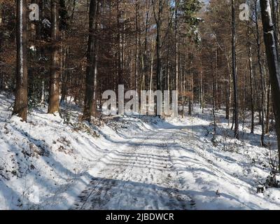 An einem sonnigen Wintertag werfen Laubbäume aus Laubwäldern lange Schatten über die Spuren auf einer leeren, schneebedeckten Straße. Stockfoto