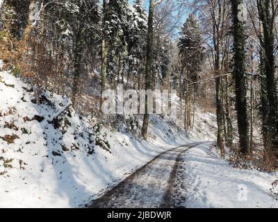 An einem sonnigen Wintertag werfen Laubbäume aus Laubwäldern lange Schatten über die Spuren auf einer leeren, schneebedeckten Straße. Stockfoto