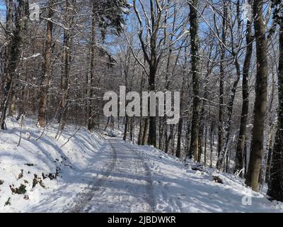 An einem sonnigen Wintertag werfen Laubbäume aus Laubwäldern lange Schatten über die Spuren auf einer leeren, schneebedeckten Straße. Stockfoto