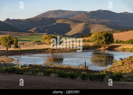 Caledon, Westkap, Südafrika. 2022. Abendlicht im Overberg, einem Bauernteich mit Kulisse der Riversonderend Berge. Stockfoto