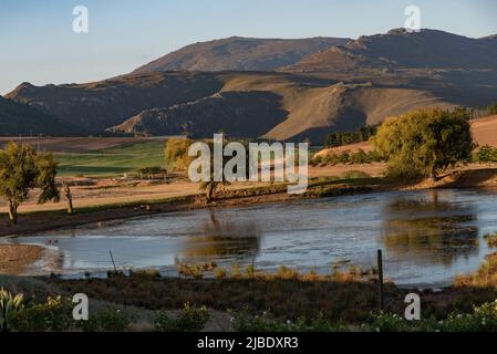 Caledon, Westkap, Südafrika. 2022. Abendlicht im Overberg, einem Bauernteich mit Kulisse der Riversonderend Berge. Stockfoto