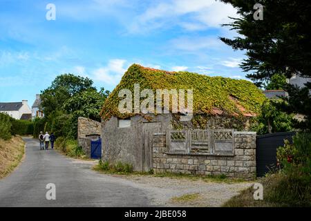 Dach des Hauses bedeckt mit Virginia Creeper Bretagne Frankreich. Das Ziegeldach dieses alten Hauses ist fast vollständig mit dem Laub einer Rebe bedeckt. Vil Stockfoto