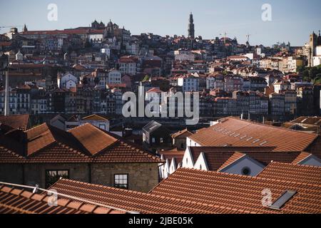 Blick auf das Ribeiro von Porto von den Dächern in Vila Nova de Gaia, Portugal. Stockfoto