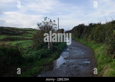 Lane, Zennor, Cornwall, England, Großbritannien Stockfoto