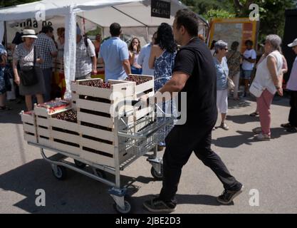 Terrades, Spanien. 05.. Juni 2022. Ein Mann trägt eine Schubkarre mit Kästen mit Kirschen, um den Markt aufzufüllen. Nachdem die XXV Fira Mercat de la cirera (Kirschenmesse) wegen Covid-19 für zwei Jahre in Folge ausgesetzt wurde, fand sie wieder in Terrades, Girona, statt. Kredit: SOPA Images Limited/Alamy Live Nachrichten Stockfoto