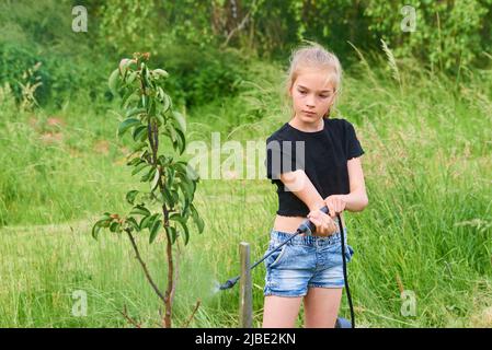 Teenager-Mädchen sprühen ökologische Produkt gegen Blattläuse und andere Schädlinge auf Obstbäume und andere Bäume im Garten und Obstgarten. Selektiver Fokus Stockfoto