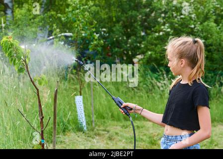 Teenager-Mädchen sprühen ökologische Produkt gegen Blattläuse und andere Schädlinge auf Obstbäume und andere Bäume im Garten und Obstgarten. Selektiver Fokus Stockfoto