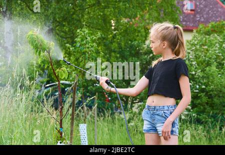 Teenager-Mädchen sprühen ökologische Produkt gegen Blattläuse und andere Schädlinge auf Obstbäume und andere Bäume im Garten und Obstgarten. Selektiver Fokus Stockfoto