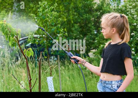 Teenager-Mädchen sprühen ökologische Produkt gegen Blattläuse und andere Schädlinge auf Obstbäume und andere Bäume im Garten und Obstgarten. Selektiver Fokus Stockfoto