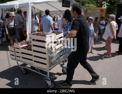 Terrades, Spanien. 05.. Juni 2022. Ein Mann trägt eine Schubkarre mit Kästen mit Kirschen, um den Markt aufzufüllen. Nachdem die XXV Fira Mercat de la cirera (Kirschenmesse) wegen Covid-19 für zwei Jahre in Folge ausgesetzt wurde, fand sie wieder in Terrades, Girona, statt. (Foto von Paco Freire/SOPA Images/Sipa USA) Quelle: SIPA USA/Alamy Live News Stockfoto