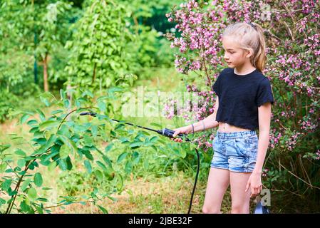 Teenager-Mädchen sprühen ökologische Produkt gegen Blattläuse und andere Schädlinge auf Obstbäume und andere Bäume im Garten und Obstgarten. Selektiver Fokus Stockfoto