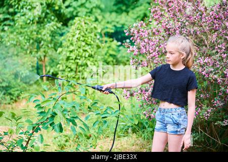 Teenager-Mädchen sprühen ökologische Produkt gegen Blattläuse und andere Schädlinge auf Obstbäume und andere Bäume im Garten und Obstgarten. Selektiver Fokus Stockfoto