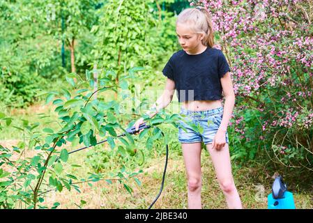 Teenager-Mädchen sprühen ökologische Produkt gegen Blattläuse und andere Schädlinge auf Obstbäume und andere Bäume im Garten und Obstgarten. Selektiver Fokus Stockfoto