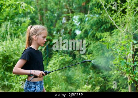 Teenager-Mädchen sprühen ökologische Produkt gegen Blattläuse und andere Schädlinge auf Obstbäume und andere Bäume im Garten und Obstgarten. Selektiver Fokus Stockfoto