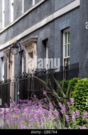 Außenansicht von 10 Downing Street, Whitehall, offizieller Wohnsitz und Büro des britischen Premierministers. Die Adresse wird als Nummer 10 bezeichnet. Stockfoto