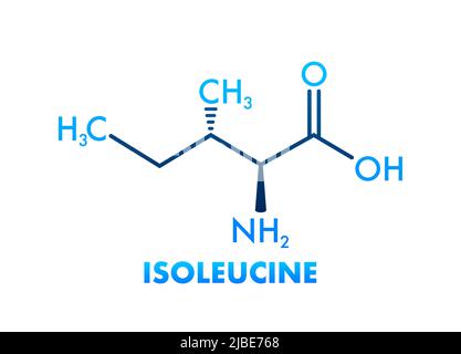 Isoleucin-Aminosäure. Chemische Molekülformel. Vektorgrafik. Stock Vektor