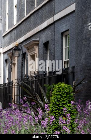 Außenansicht von 10 Downing Street, Whitehall, offizieller Wohnsitz und Büro des britischen Premierministers. Die Adresse wird als Nummer 10 bezeichnet. Stockfoto