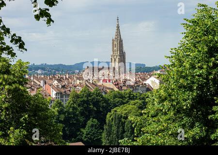 Panoramablick auf die Berner Altstadt von oben im Rosengarten Stockfoto