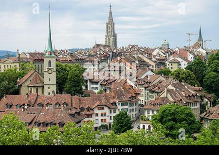 Panoramablick auf die Berner Altstadt von oben im Rosengarten Stockfoto