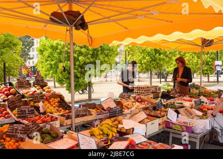 Markt für Obst und Gemüse, Marcatu d'Aiacciu, Boulevard du ROI Jerome, Ajacio Corsica (Corse), Corse-du-Sud, Frankreich Stockfoto